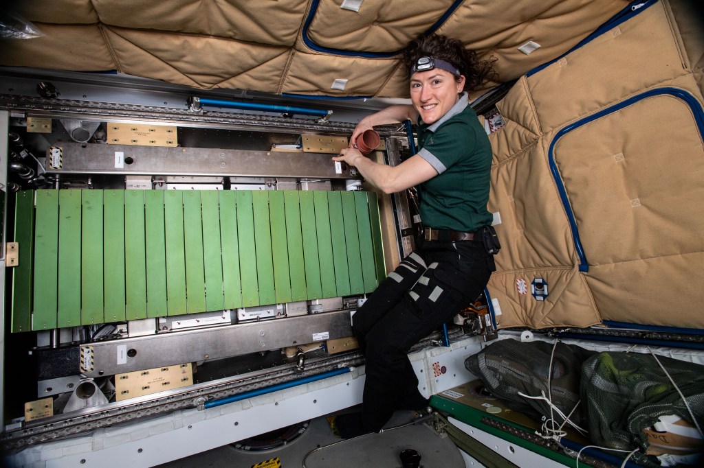 NASA astronaut Christina Koch works to remove and replace the treadmill, also known as the Combined Operational Load Bearing External Resistance Treadmill, or COLBERT, inside the Tranquility module.
