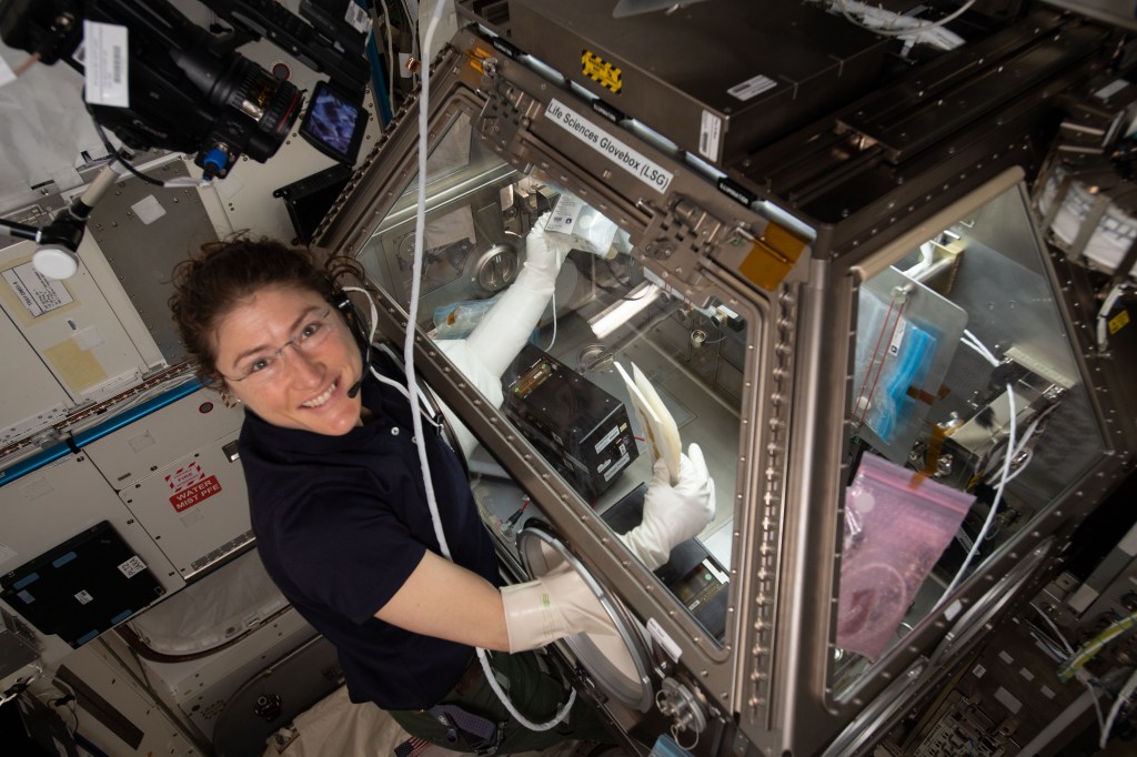 NASA astronaut Christina Koch works inside the Life Sciences Glovebox conducting research for the Kidney Cells investigation that is seeking innovative treatments for kidney stones, osteoporosis and toxic chemical exposures.