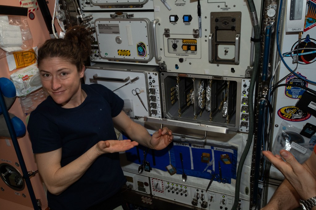 NASA astronaut Christina Koch anticipates the personal-size pizzas being cooked aboard the International Space Station's galley.
