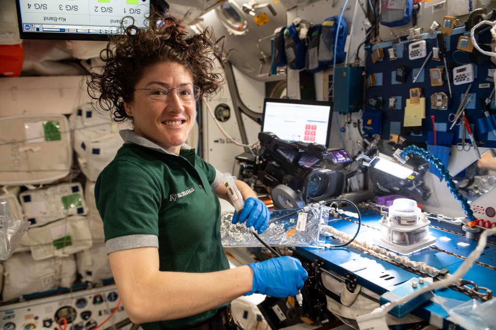 NASA astronaut Christina Koch works on space botany research using the Veggie PONDS research gear to cultivate and harvest lettuce and mizuna greens for consumption on the International Space Station and analysis on Earth.