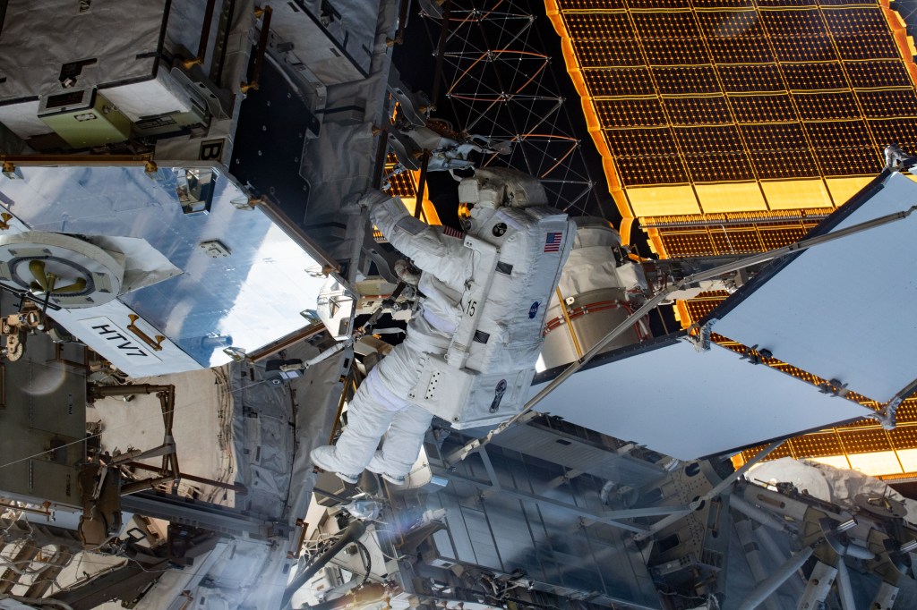 Spacewalker and NASA astronaut Christina Koch retrieves hardware from a pallet delivered on the Japan Aerospace Exploration Agency's (JAXA) HTV-7 (H-II Transfer Vehicle-7) to continue upgrading the International Space Station's power storage capacity. She and fellow spacewalker Nick Hague (out of frame) worked outside in the vacuum of space for six hours and 45 minutes to continue swapping batteries and install adapter plates on the station's Port-4 truss structure.