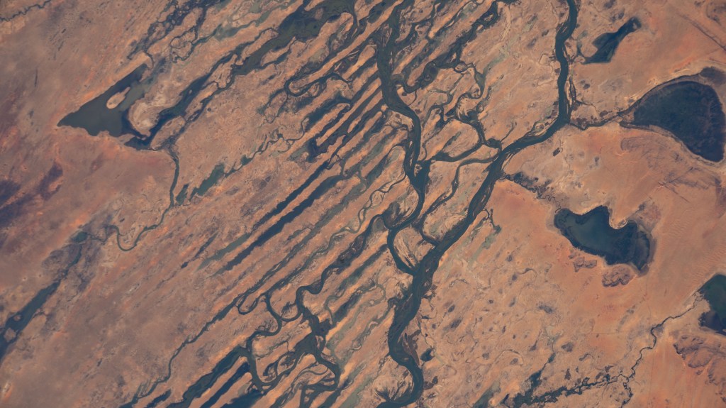 iss068e030991 (Dec. 17, 2022) --- The Niger River, its tributaries, and the Fati and Oro lakes, are pictured from the International Space Station as it orbited 257 miles above the African nation of Mali.