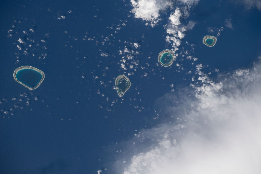iss068e043864 (Jan. 30, 2023) --- The uninhabited atolls of (from left) Maturei Vavao, Vahanga, Tenarungo, and Tenanaro, which make up French Polynesia in the south Pacific Ocean, are pictured from the International Space Station as it orbited 260 miles above.