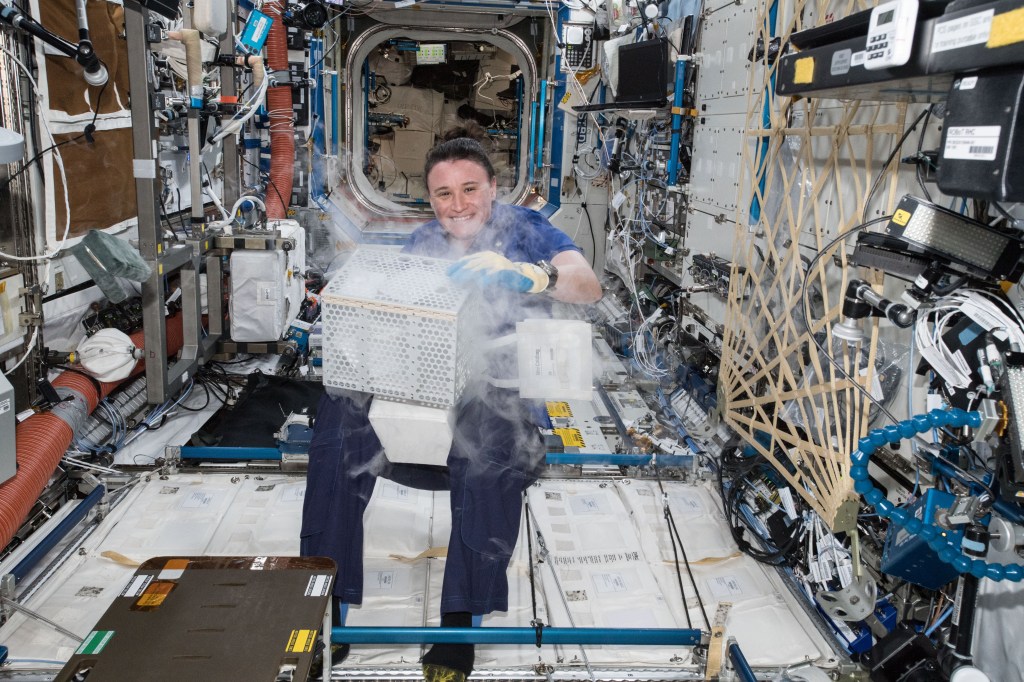 NASA astronaut Serena Auñón-Chancellor works in the U.S. Destiny laboratory module stowing harvested plant samples into MiniCold Bags for later analysis.