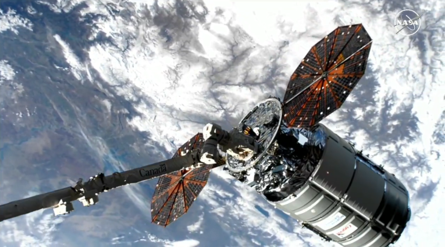 The Canadarm2 robotic arm, operated by NASA astronaut Loral O'Hara, captures Northrop Grumman's Cygnus spacecraft. Credit: NASA TV