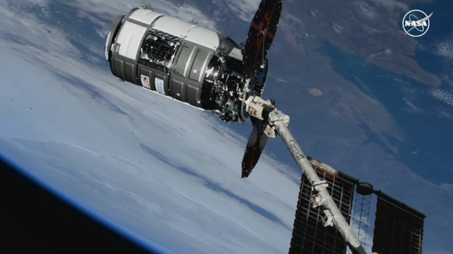 The Canadarm2 robotic arm, guided by NASA astronaut Loral OâHara, captures Northrop Grummanâs Cygnus spacecraft. Credit: NASA TV