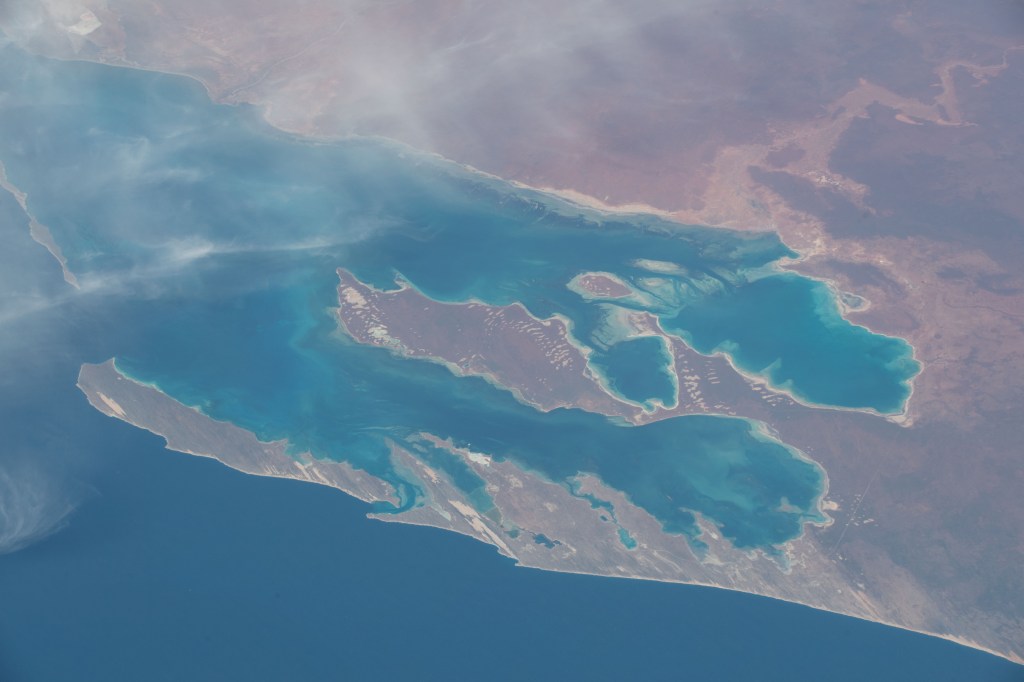The International Space Station was flying 257 miles above Western Australia when an Expedition 57 crew member photographed Shark Bay and Sedimentary Deposits Reserve on the west coast of the continent.