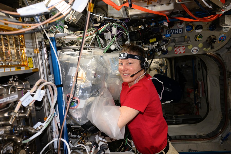 NASA astronaut Tracy C. Dyson works in the BioFabrication Facility's portable glovebag located in the International Space Station's Columbus laboratory module.