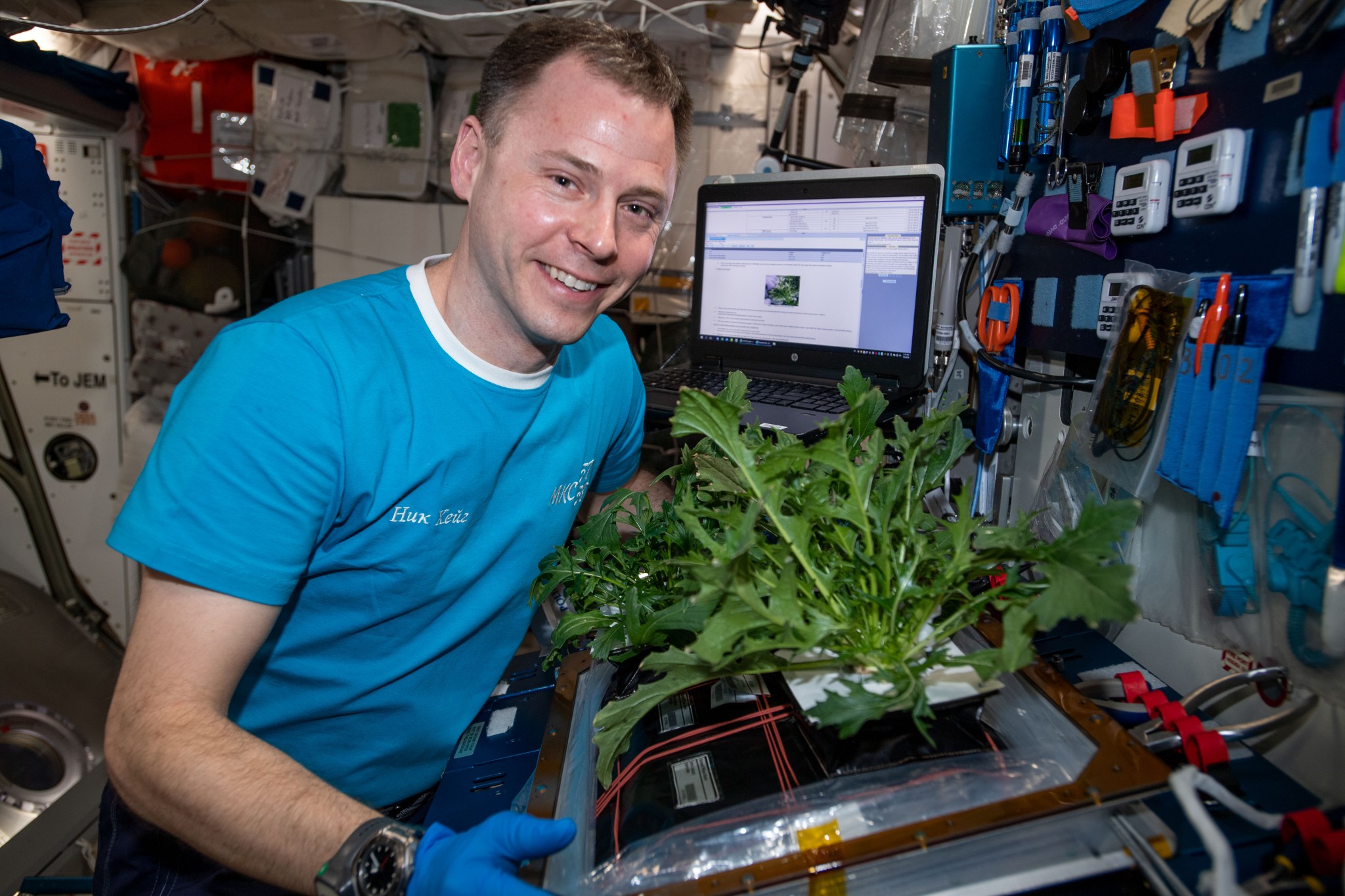 Hague, wearing a light blue short-sleeved t-shirt and blue latex gloves, smiles at the camera. He is next to green leafy plants growing in a black tray with a plastic frame around the bottom.