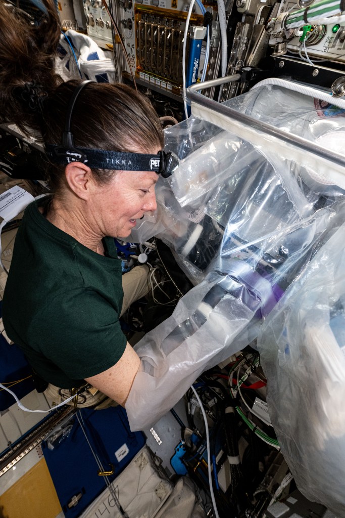 Expedition 70 Flight Engineer and NASA astronaut Tracy C. Dyson works inside the BioFabrication Facility using the portable glovebag aboard the International Space Station's Columbus laboratory module. She was working on the Redwire Cardiac Bioprinting Investigation that may offer the ability to print food and medicines for future space crews. Results may also enable the bioprinting of replacement organs and tissues potentially alleviating the shortage of donor organs on Earth.