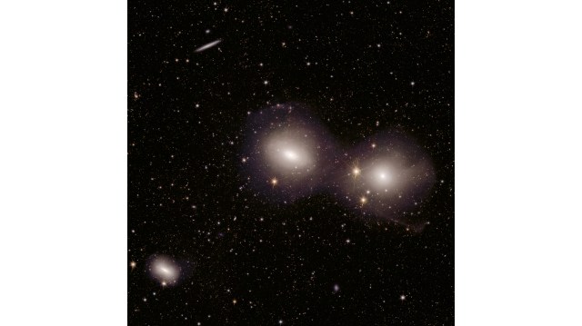Euclid’s view of the Dorado group of galaxies