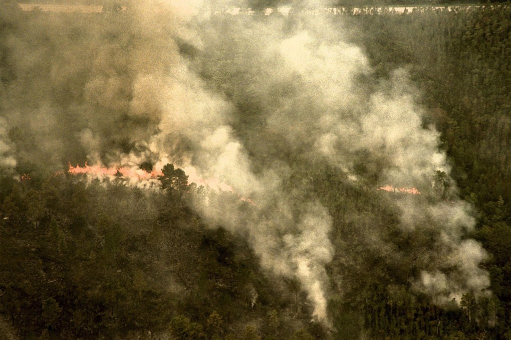 1998年佛罗里达州大火中浓烟滚滚