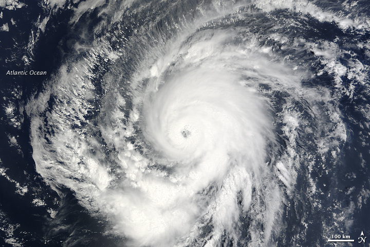 Participation in the Tropical Cyclone Operations and Research Forum