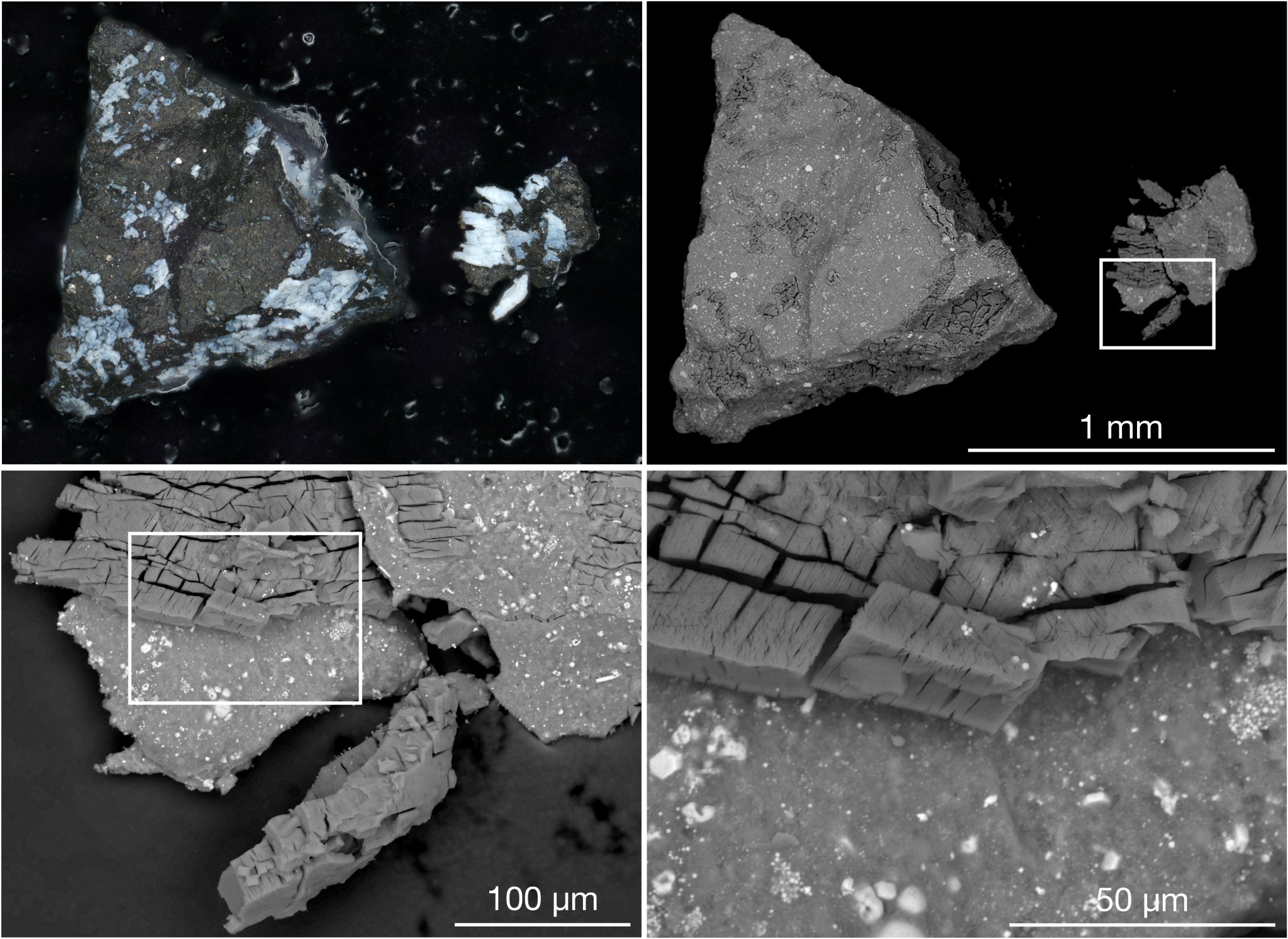 Muestras del asteroide Bennu