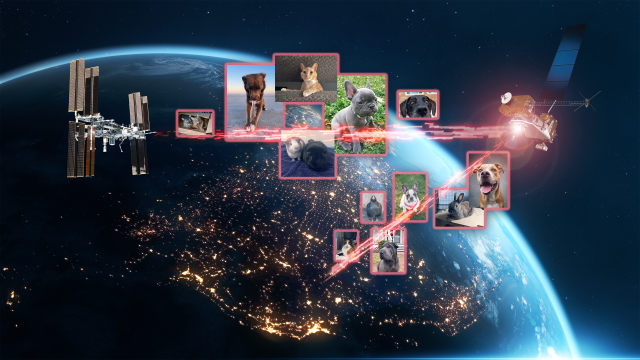 宠物照片的拼贴通过激光链路从地球发送到空间站的LCRD（激光通信中继演示）和ILLUMA-T（集成LCRD低地球轨道用户调制解调器和放大器终端）。提交的动物包括猫、狗、鸟、鸡、牛、蛇、猪等。