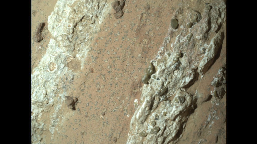 NASA’s Perseverance rover discovered “leopard spots” on a reddish rock nicknamed “Cheyava Falls” in Mars’ Jezero Crater in July 2024. Scientists think the spots may indicate that, billions of years ago, the chemical reactions in this rock could have supported microbial life; other explanations are being considered.