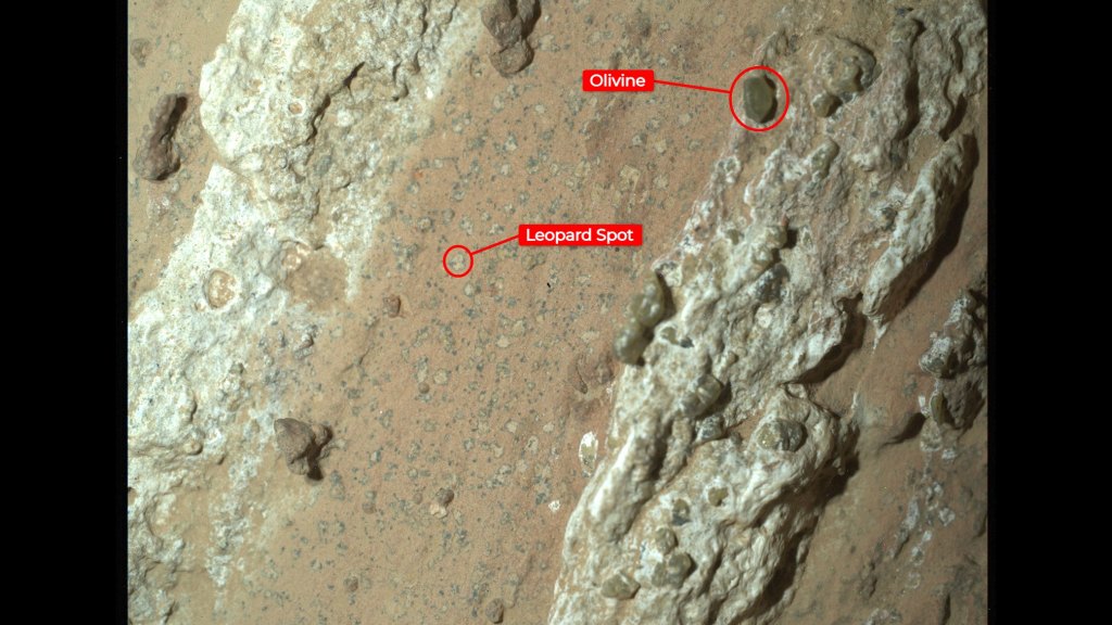An annotated version of the image of “Cheyava Falls” indicates the markings akin to leopard spots, which have particularly captivated scientists, and the olivine in the rock. The image was captured by the WATSON instrument on NASA’s Perseverance Mars rover on July 18. 