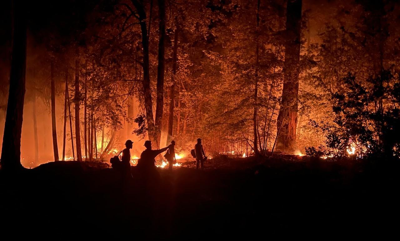 Firefighters silhouetted against a forest fire at night.