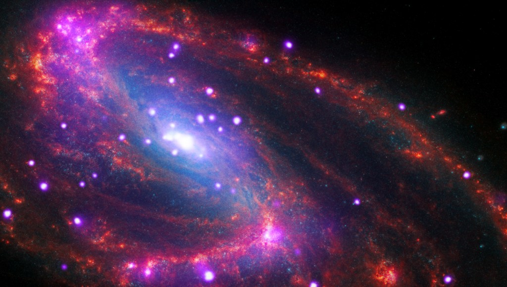 The galaxy NGC 3627 appears pitched at an oblique angle, tilted from our upper left down to our lower right. Much of its face is angled toward us, making its spiral arms, composed of red and purple dots, easily identifiable. Several bright white dots ringed with neon purple speckle the galaxy. At the galaxy’s core, where the spiral arms converge, a large white and purple glow identified by Chandra provides evidence of a supermassive black hole.