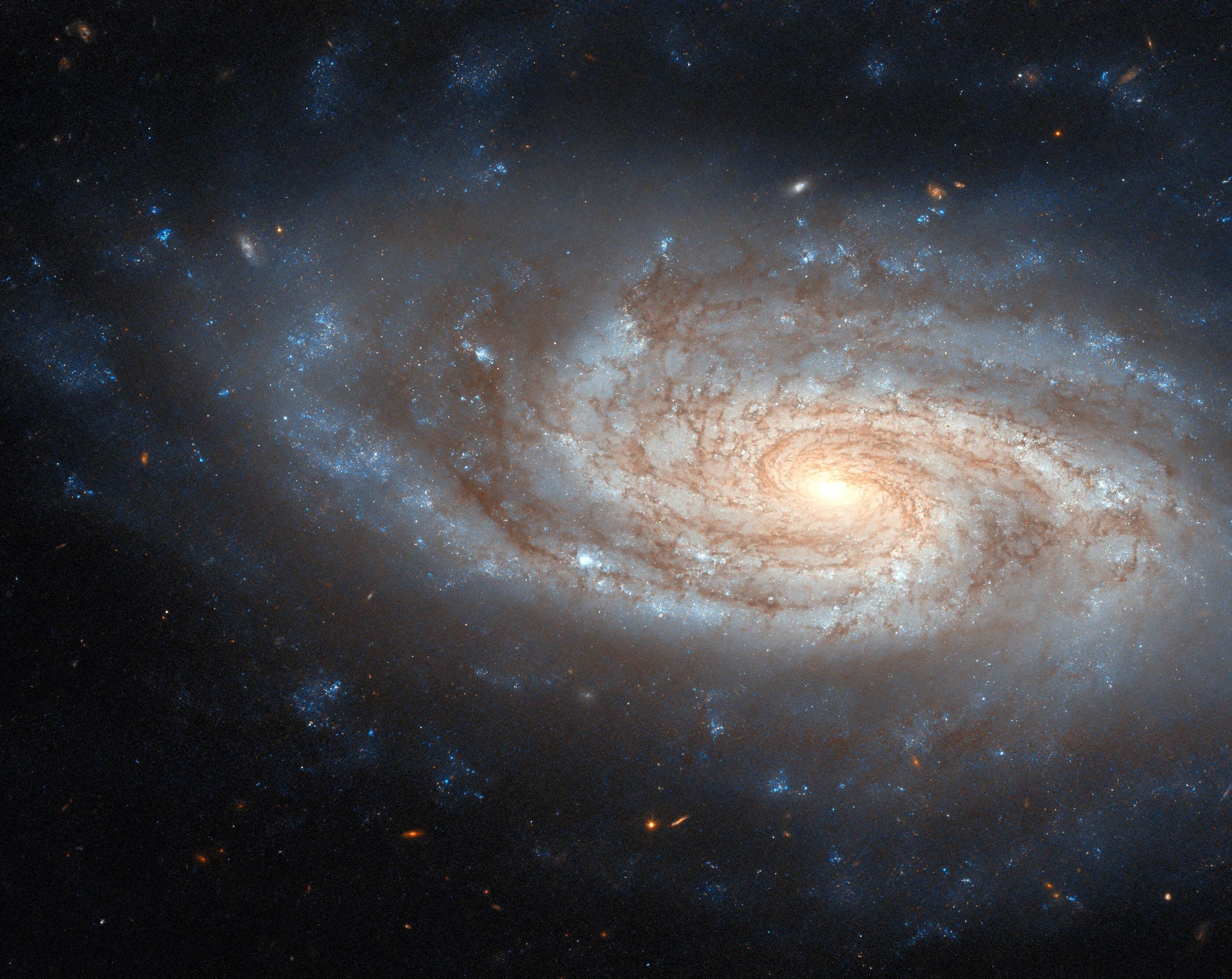 A spiral galaxy with three prominent arms wrapping around it. The galaxy holds plenty of extra gas and dark dust between the arms. There are shining blue points throughout the arms and some patches of gas out beyond the galaxy’s edge, where stars are forming. The center of the galaxy also shines brightly. It is on a dark background where some small orange dots mark distant galaxies.
