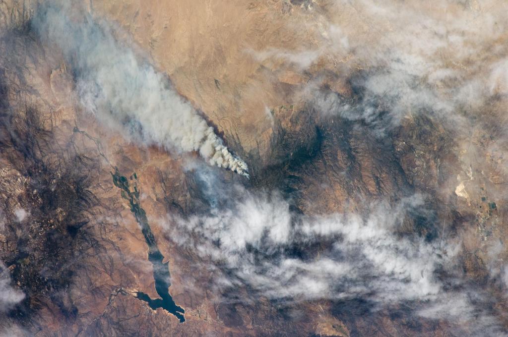 Satellite view of wildfire.