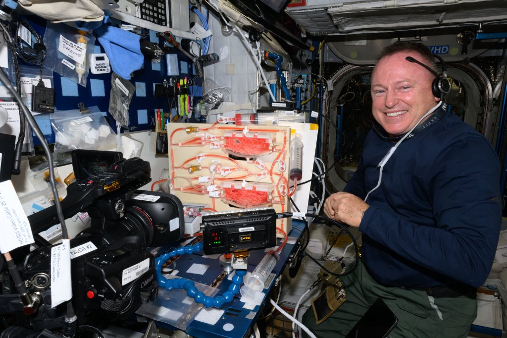 NASA astronaut and Boeing Crew Flight Test Commander Butch Wilmore investigates using fluid physics techniques such as surface tension, as well as hydroponics and air circulation, to overcome the lack of gravity when watering and nourishing plants grown in space. The Plant Water Management investigation uses facilities in the International Space Station's Harmony module to promote space agricultural activities on spacecraft and space habitats.