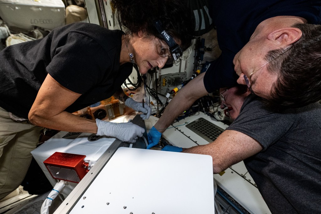 Clockwise from left, NASA astronauts Suni Williams, Mike Barratt, and Butch Wilmore work on lab maintenance tasks aboard the International Space Station. Williams and Wilmore are the Pilot and Commander, respectively, for Boeing's Crew Flight Test and Barratt is an Expedition 71 Flight Engineer.