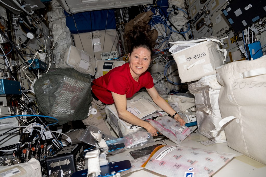 NASA astronaut and Expedition 71 Flight Engineer Tracy C. Dyson unpacks and examines research gear that is part of the BioFabrication Facility (BFF) located inside the International Space Station's Columbus laboratory module. The BFF is a research device being tested for its ability to print organ-like tissues in microgravity.