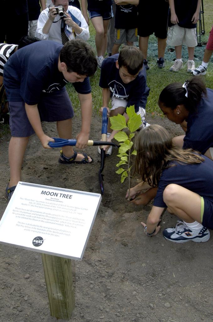 A sycamore moon tree is planted by four ASTRO Camp participants