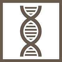 DNA strand