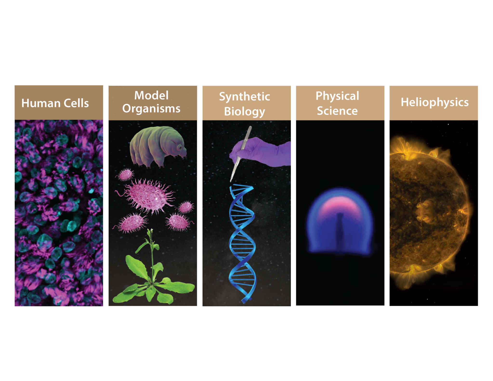 types of science for spinsat