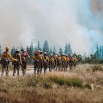 A group of roughly 20 firefighters walk in a line away from the camera, in yellow longsleeve shirts and white hard hats. There is brown shrubbery in the foreground, and the group is walking toward a copse of trees in the distance which is partially obscured by tan smoke, which also fills the sky.