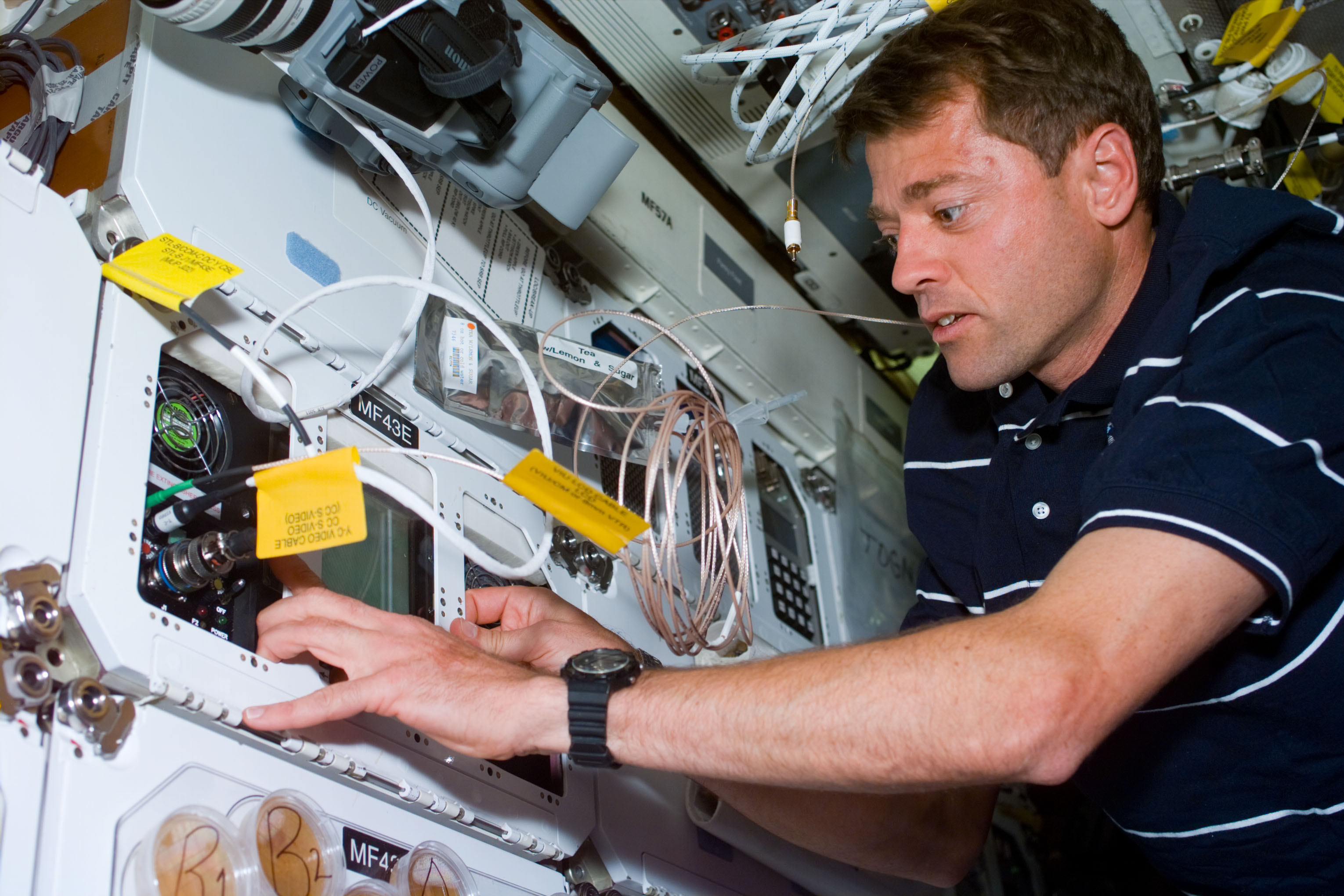 Jeffrey S. Ashby checks the status of the Space Tissue Lab experiment