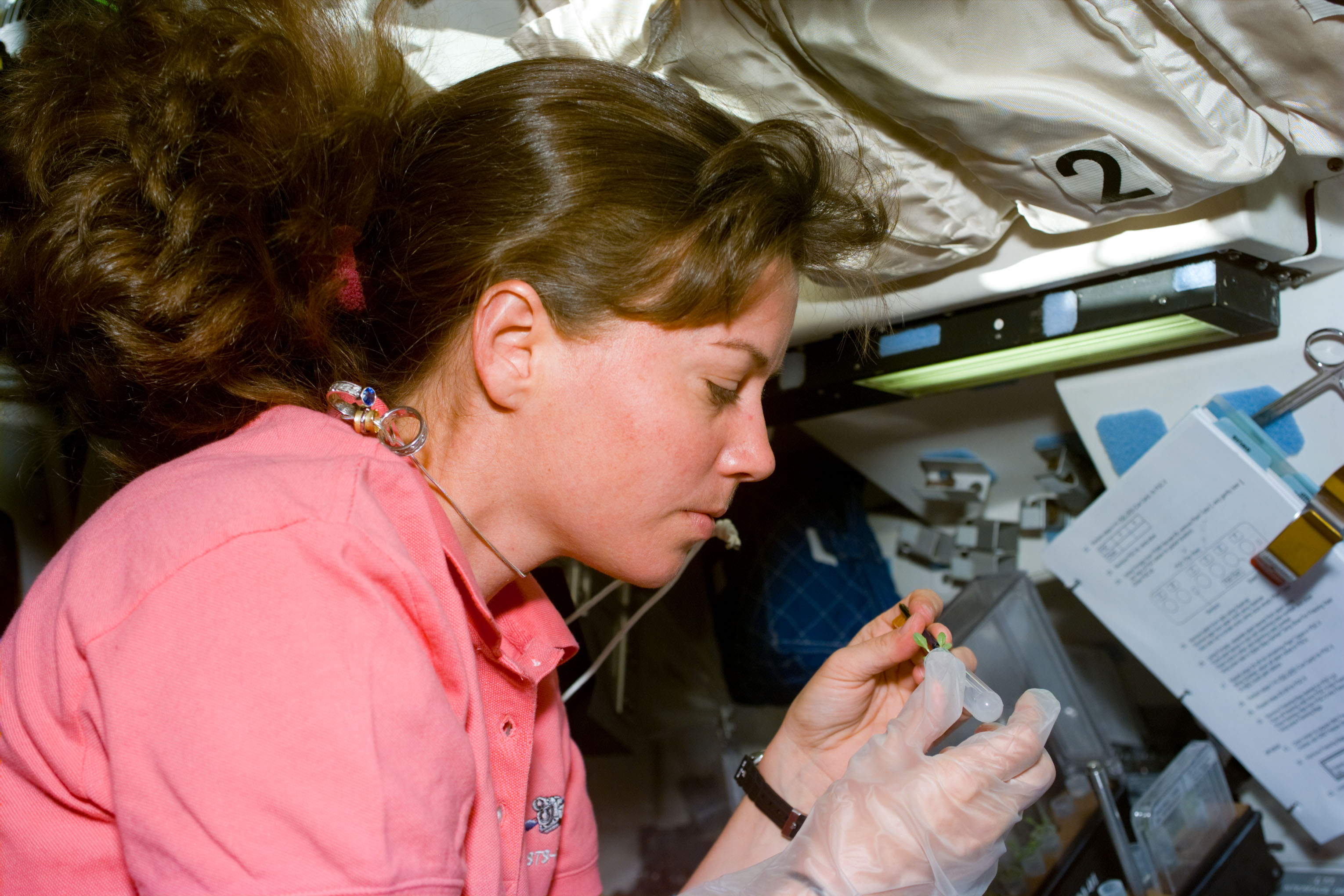 Catherine G. Coleman harvests plants from the Plant Growth in Microgravity experiment