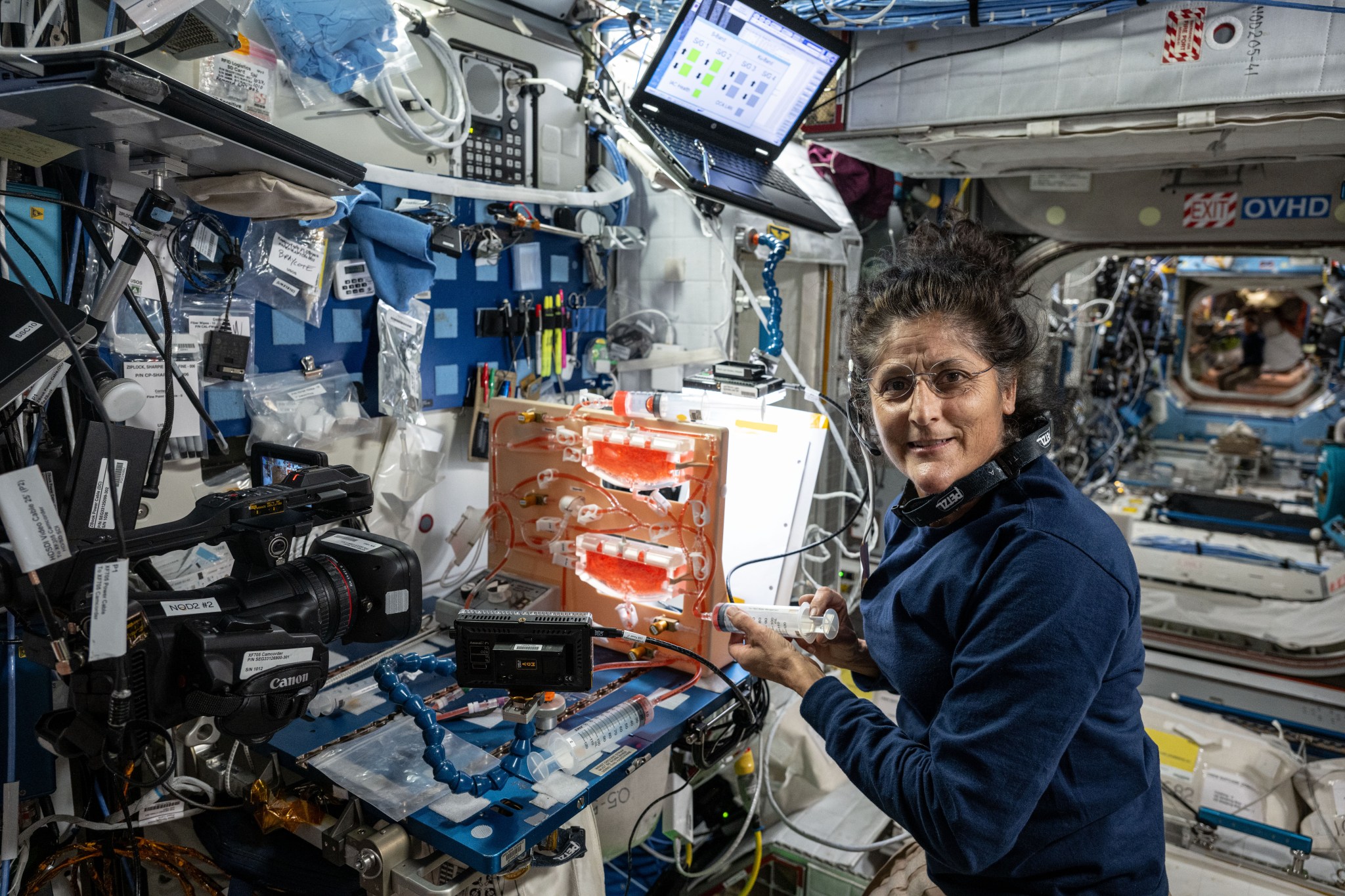 NASA astronaut Sunita Williams operating the Plant Water Management (PWM) experiment on ISS in July 2024