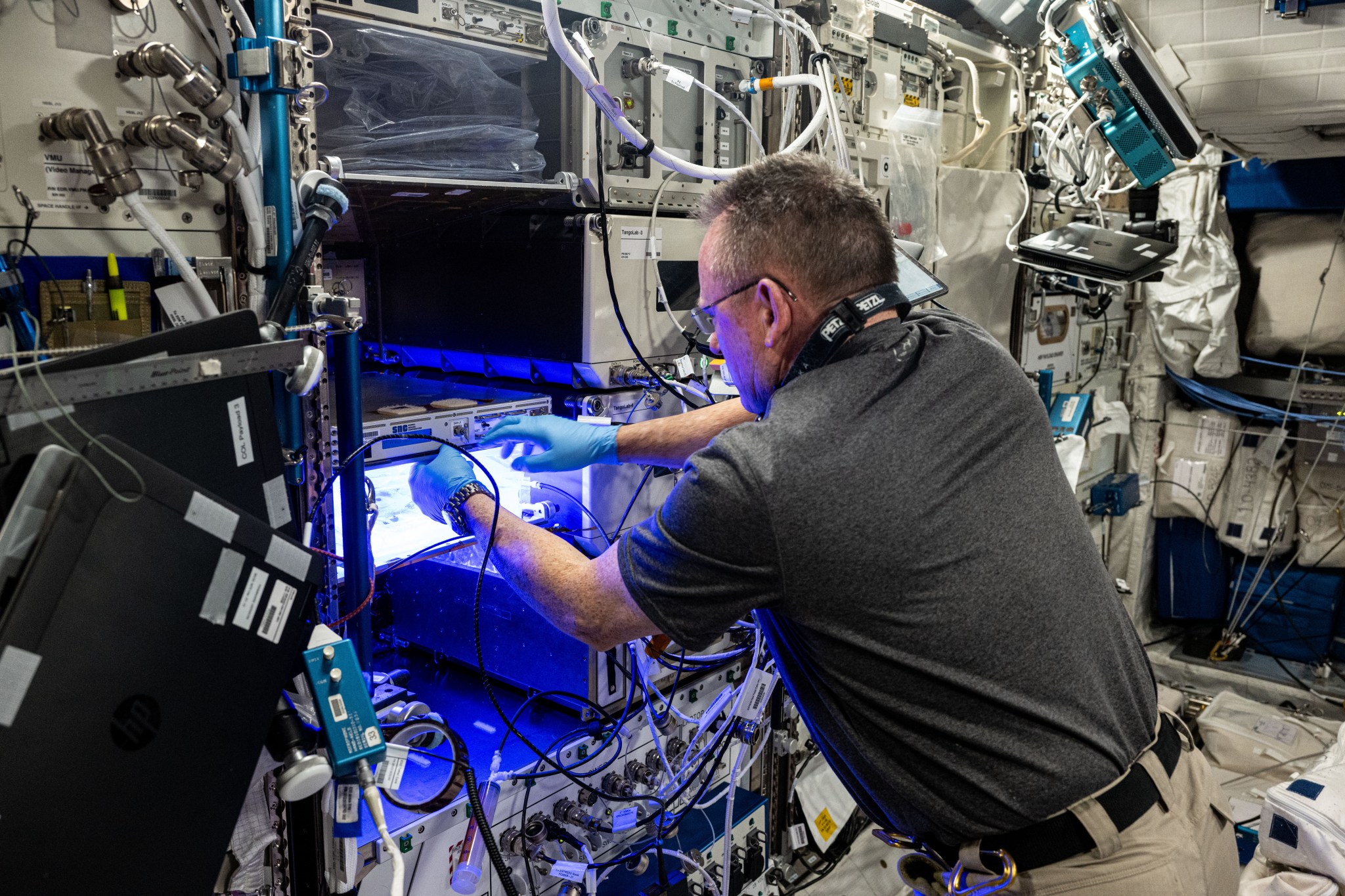 NASA astronaut and Boeing's Crew Flight Test Commander Butch Wilmore installs a light meter inside the Veggie space botany facility to obtain light measurements and adjust the light settings inside the plant research device. Veggie is located aboard the International Space Station's Columbus laboratory module and has grown lettuce, tomatoes, zinnias, and more aboard the orbital outpost.