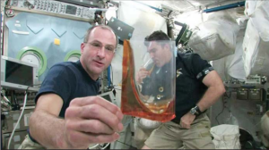 NASA Astronaut Don Pettit Moves the Zero G Cup aboard the space station while NASA astronaut Steve Bowen takes a sip of tea. Credit: NASA