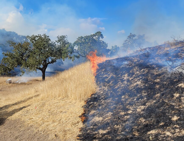 Picture of dry landscape with a green tree on the left side, and down the middle an intersection showing the left side has yet to be burned and the right side is burning black