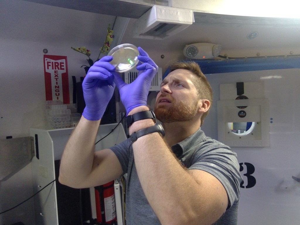 A person wears purple gloves closely examines a petri dish, holding it up towards the light inside a laboratory.