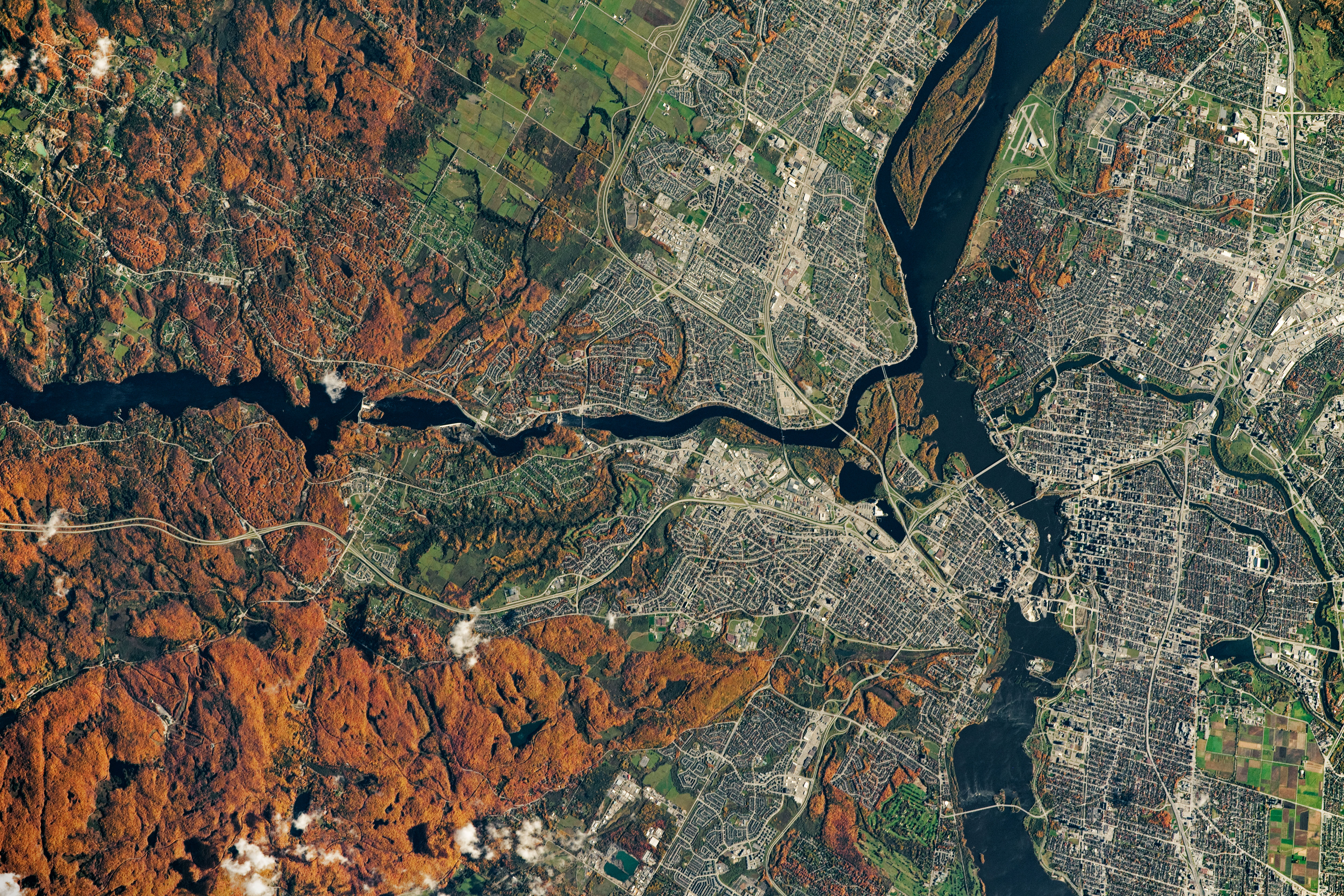 Orange tree leaves cover the left side of the aerial image of Ottawa, Canada. To the right, streets, buildings, and other city infrastructure is visible. A waterway splits the image horizontally through the middle; another river also travels from top to bottom slightly right of center.