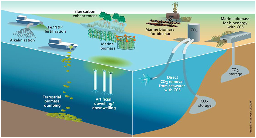 Image showing the process of the marine carbon dioxide removal