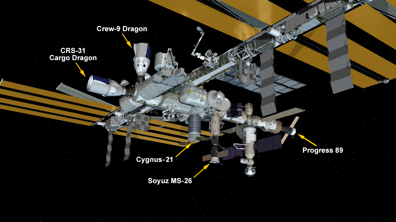 Nov. 19, 2024: International Space Station Configuration. Five spaceships are parked at the space station including the SpaceX Dragon Freedom, the SpaceX Dragon cargo spacecraft, the Northrop Grumman Cygnus resupply ship, the Soyuz MS-26 crew ship, and the Progress 89 resupply ship.