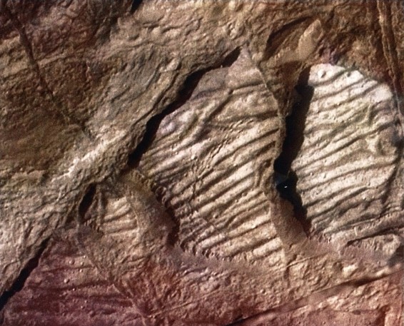 Closeup image of terrain on Europa