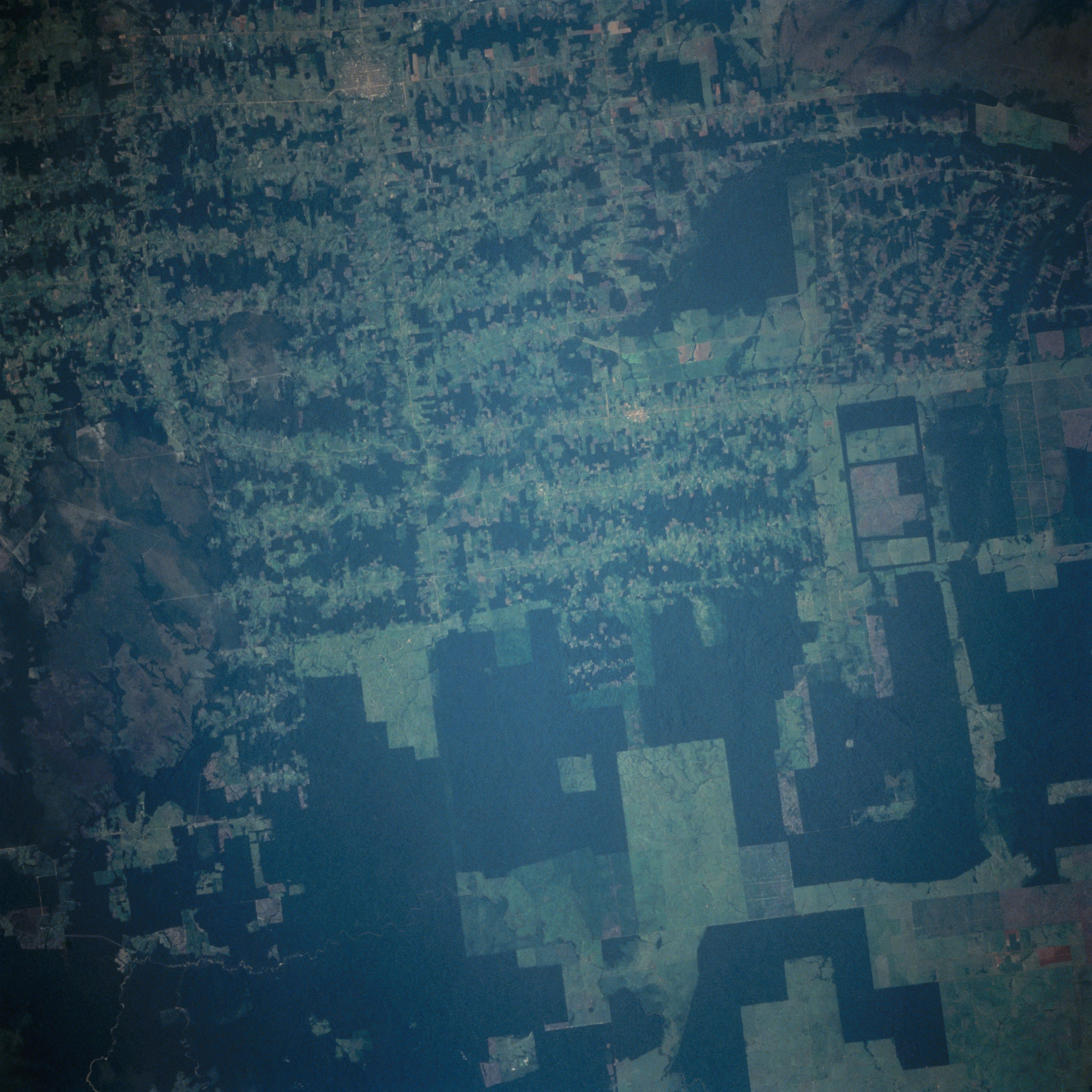 Deforestation in the Brazilian Amazon