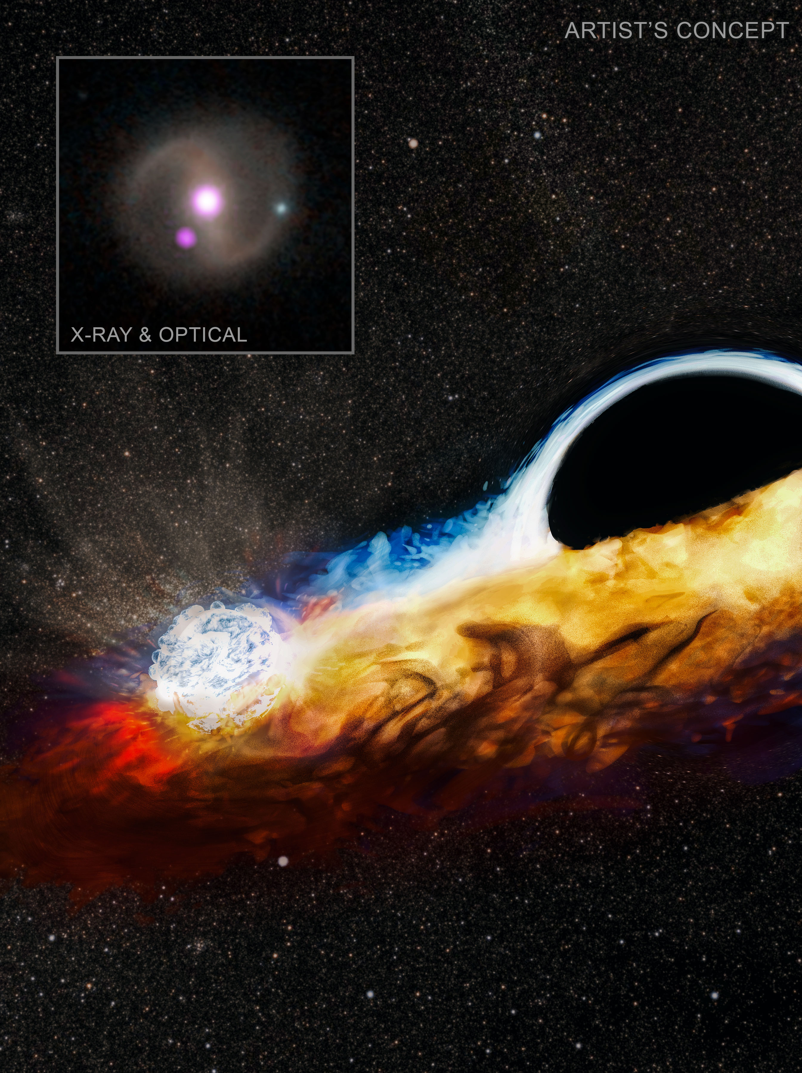 A black hole destroys one star and chases after another, NASA missions have found