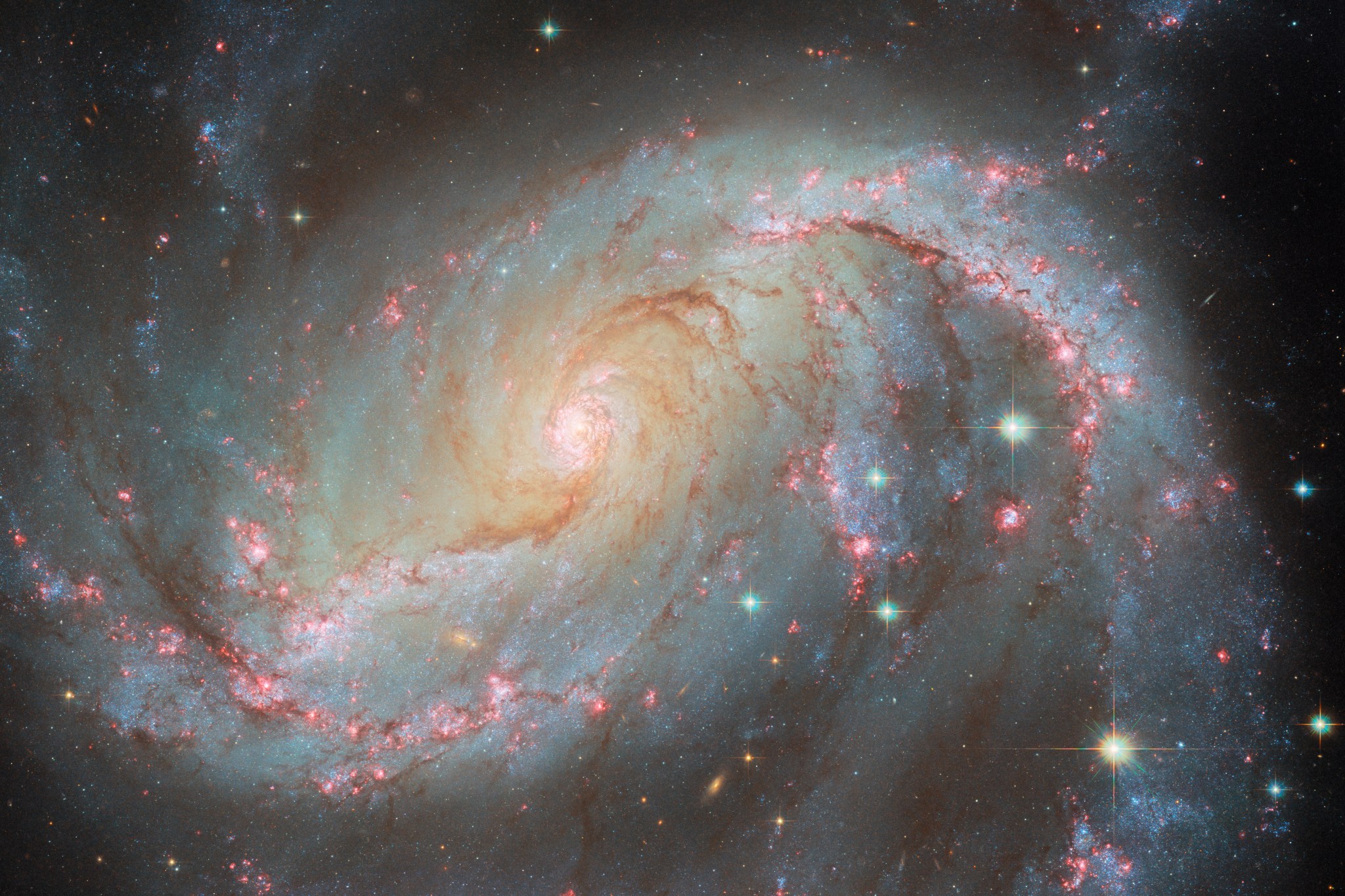 A spiral galaxy with an oval-shaped disk. Two large arms curve out away from the ends of the disk. Bright pink patches and dark reddish threads of dust fill the arms. The bright pink patches indicate where stars are forming. The core is very bright and filled with stars. Some large stars appear in front of the galaxy. Directly under the point where the right arm joins the disk, a fading supernova is visible as a green dot.