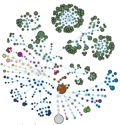 Flower diagram illustrating WMS taxonomic diversity.