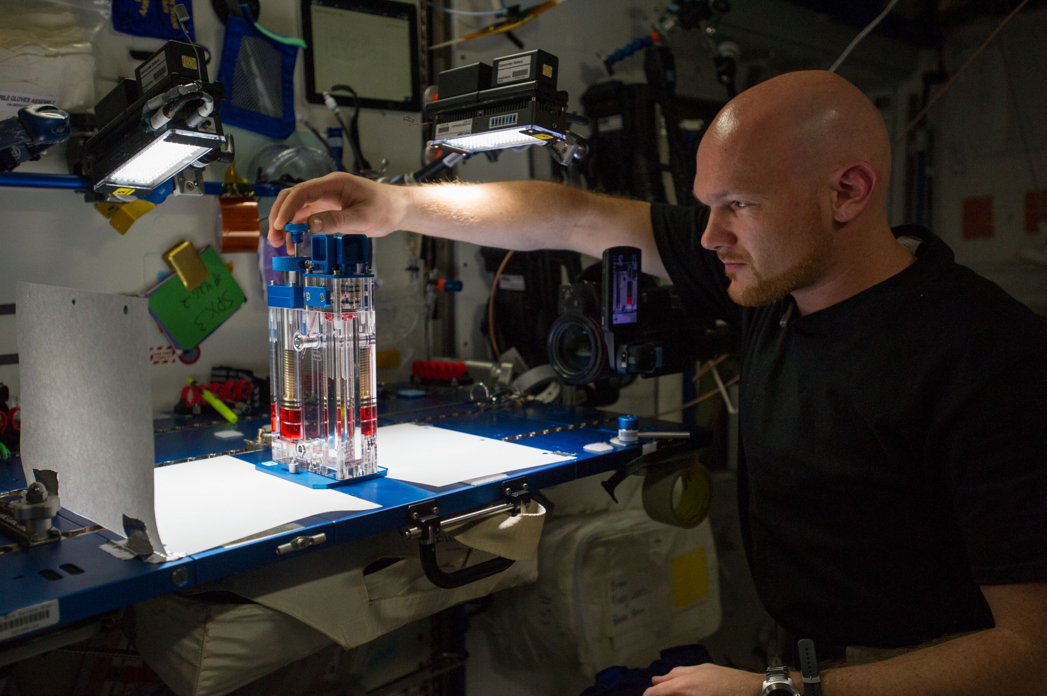 An ESA astronaut conducts an experiment aboard the International Space Station.