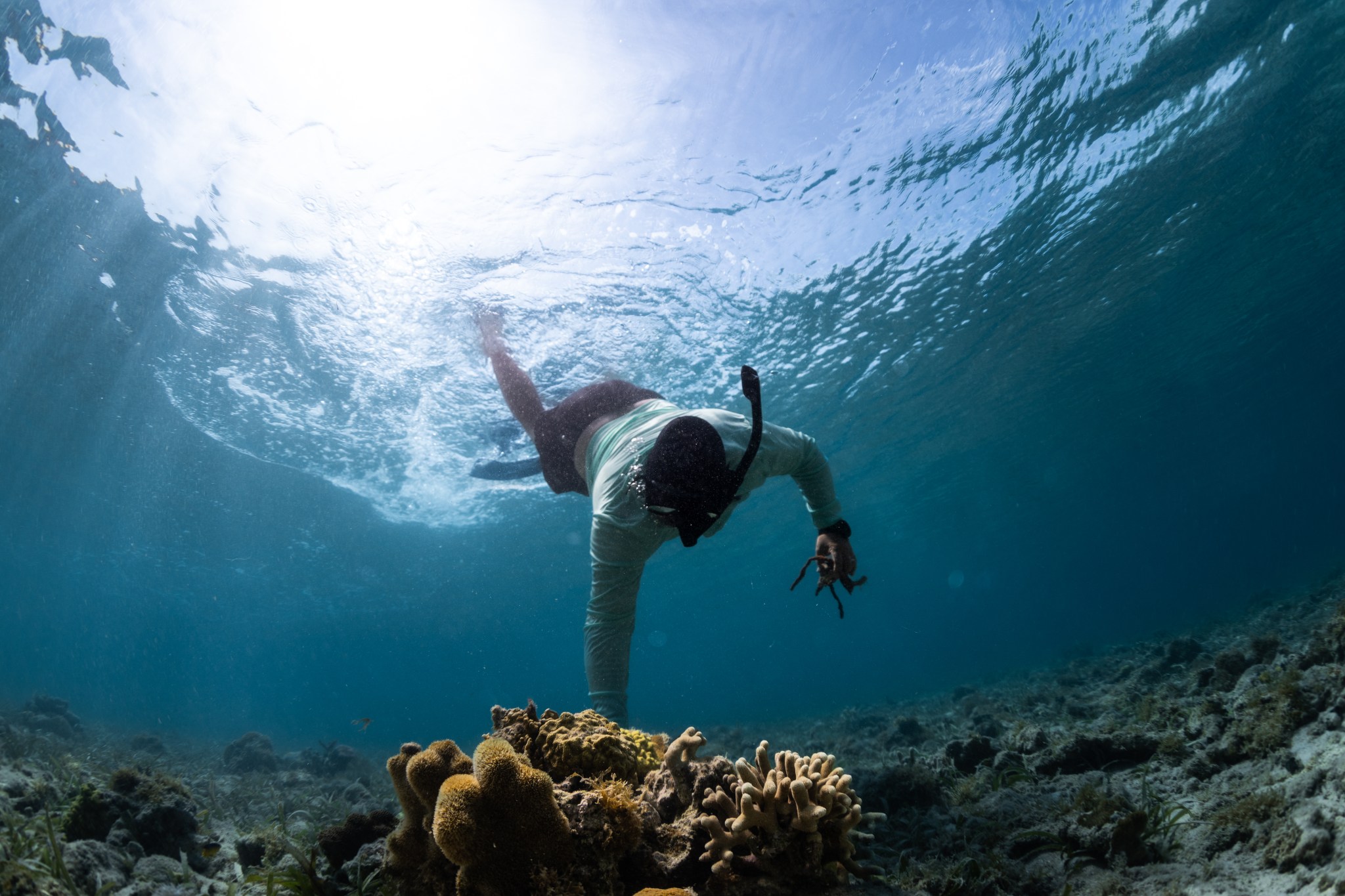 Samuel Suleiman, an instructor on NASA’s OCEANOS student training program, gathers loose corals to place around an endangered coral species to help attract fish and other wildlife, giving the endangered coral a better chance of survival