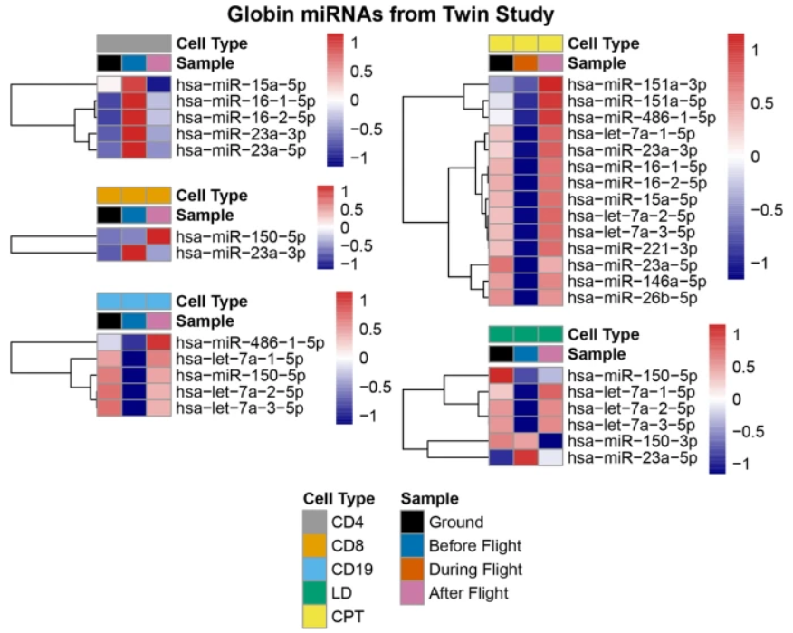 Selected spatiotemporal comparisons of a number of globin miRNAs in different cellular fractions are presented.